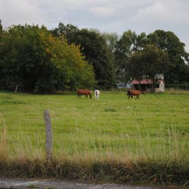 Insel Poel